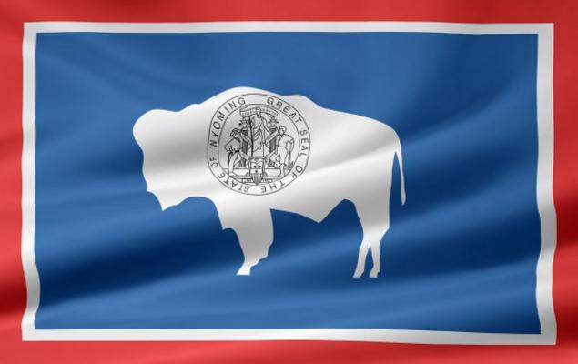 Wyoming Flagge von Juergen Priewe