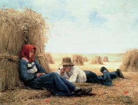 Harvest Time 1878