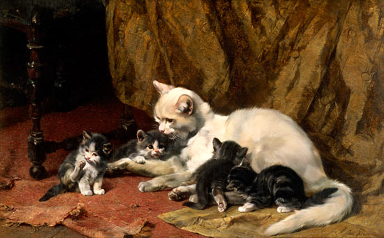 Katze mit vier Jungen auf einem alten Teppich. von Julius Adam