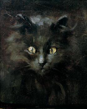 Porträt einer Katze 1900