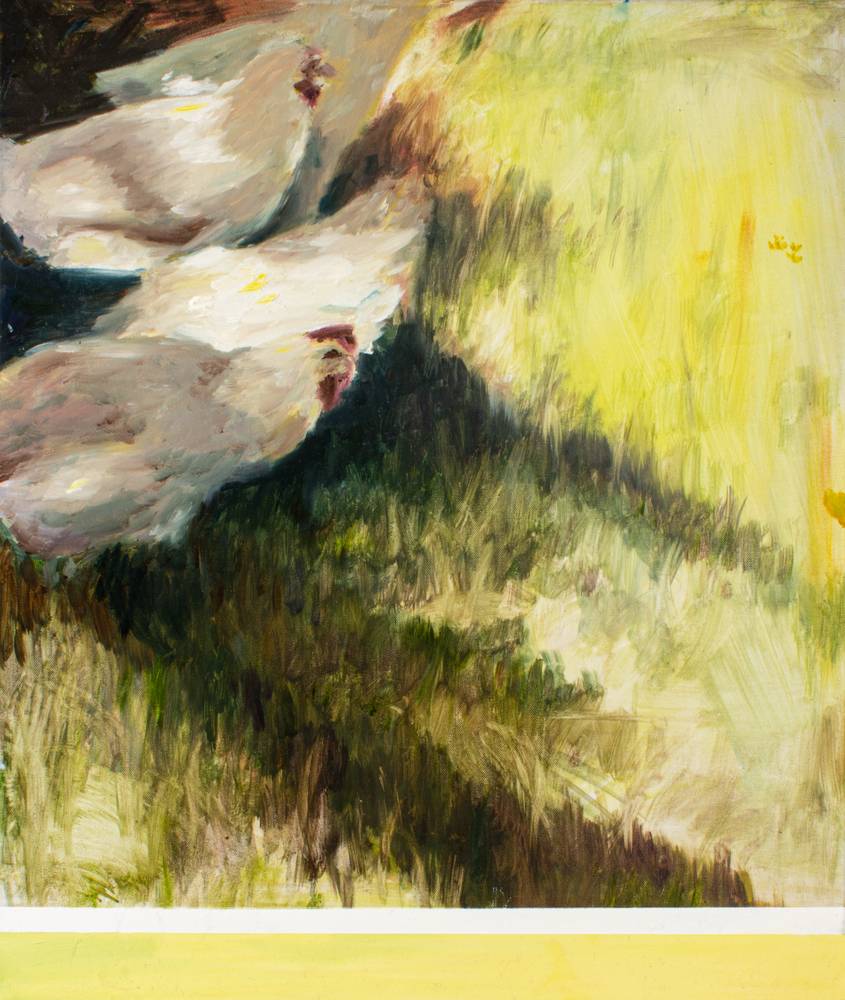 Hühner im Schatten von Julius Müller