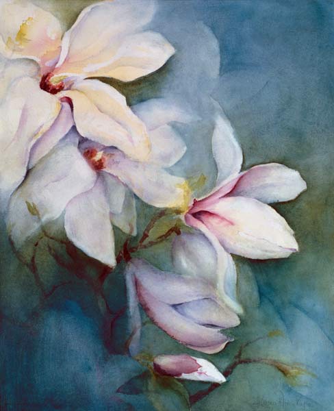 Magnolia Dedudata  von Karen  Armitage