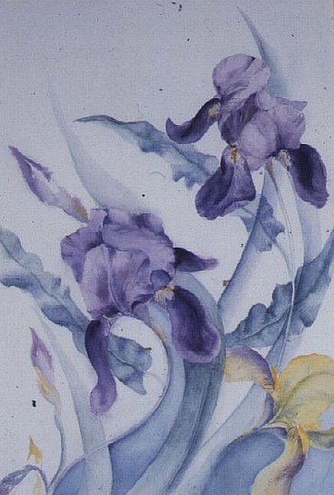 Iris, blue Mare  von Karen  Armitage