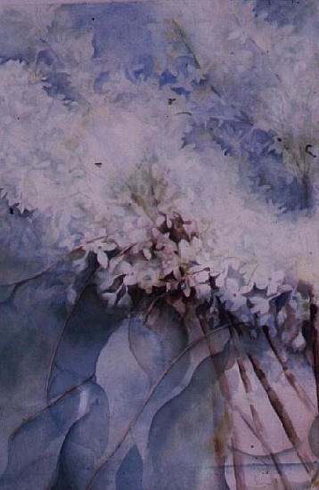 Lilac, Maud Norcut  von Karen  Armitage