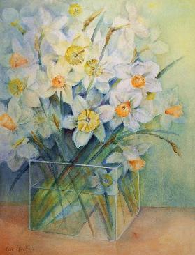 Jonquils in a Glass Vase 