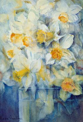 Spring Time, mixed daffodils in tank No 3., Mrs Krelage, Ice Follies and Fortune 