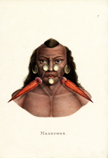 Peruvian Indian von Karl Joseph Brodtmann