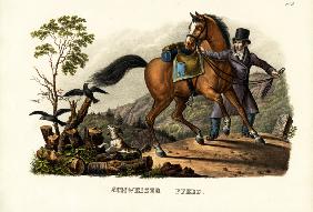 Swiss Horse 1824