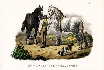 English Pit Horse 1824