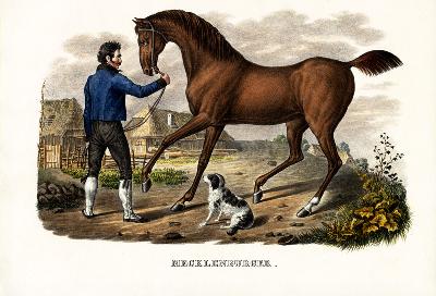 Mecklenburger Horse 1824