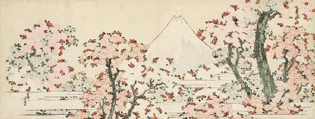 Der Berg Fuji hinter blühenden Kirschbäumen