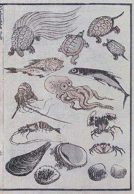 Undersea creatures, from a Manga (colour woodblock print)