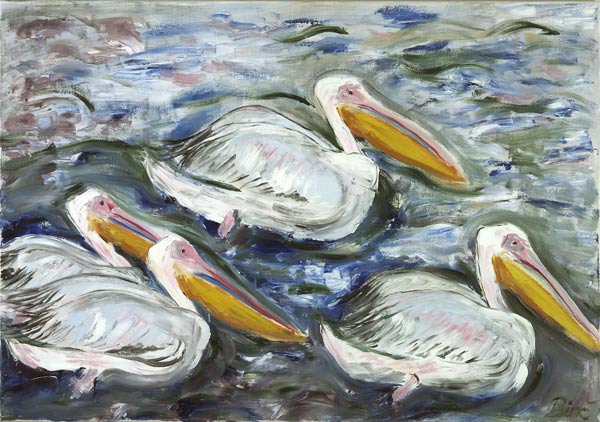 Pelikane von Sabine Katterle