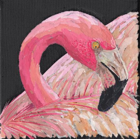 Flamingo 2018