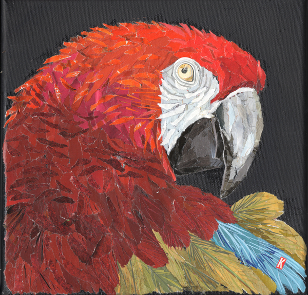 Red Macaw Parrot von Kirstie Adamson