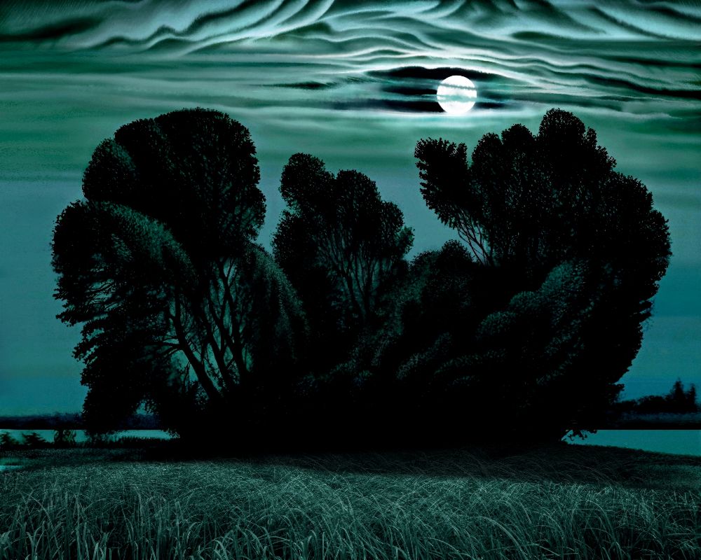 Der Mond über den Hain von Konstantin Avdeev