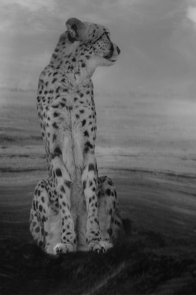 Gepard auf der Hut von Krystina Wisniowska