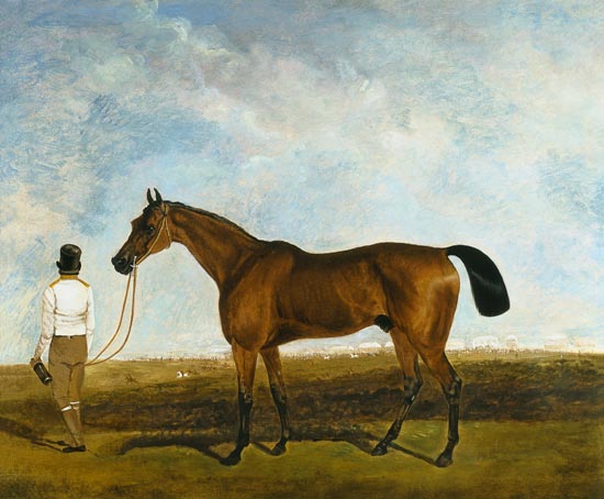 A groom leading a bay racehorse von Lambert Marshall
