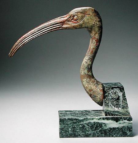 Head of an ibis von Late Period Egyptian