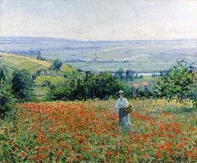 Woman in a Poppy Field