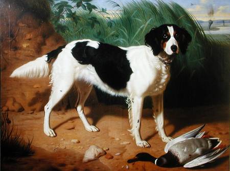 Portrait of a Dog von Leon Viardot