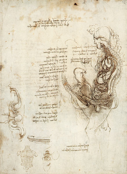 Coition of Hemisected Man and Woman, facsimile copy  & von Leonardo da Vinci