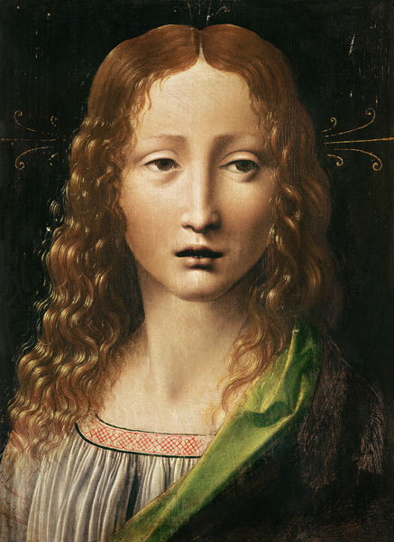 Head of the Saviour von Leonardo da Vinci