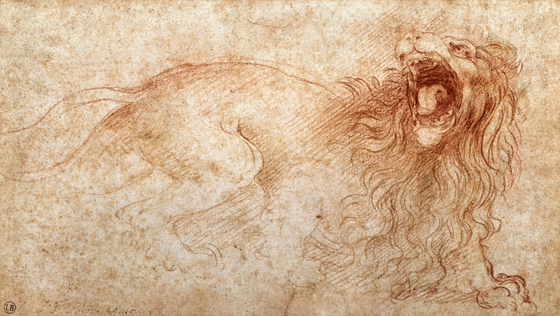 Skizze eines brüllenden Löwen von Leonardo da Vinci
