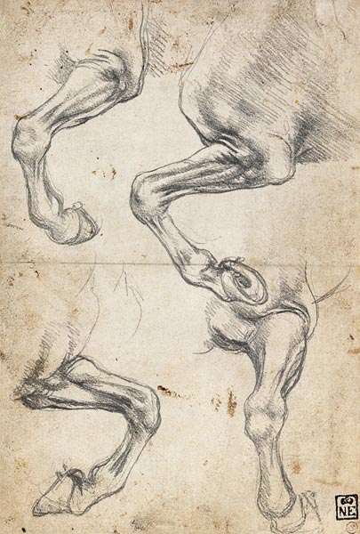 Pferdebeine-Studie von Leonardo da Vinci