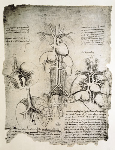The Heart and the circulation, facsimile of the Windsor book  and von Leonardo da Vinci
