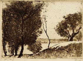 Baumbestandenes Ufer am märkischen See 1919