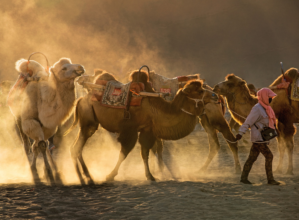 Kamelstation von Libby Zhang