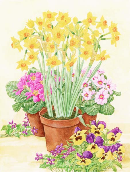 Pots of Spring Flowers, 2003 (w/c on paper)  von Linda  Benton