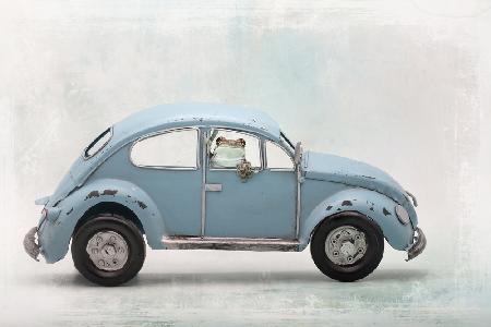 Amazon-Milchfrosch im VW-Käfer