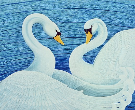 Swans, 2007 (oil on canvas)  von Liz  Wright