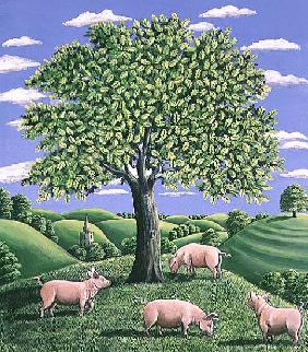 Pigs under an oak tree, 1985 (gouache) 
