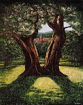 The Divided Tree, Richmond Park, 1989 