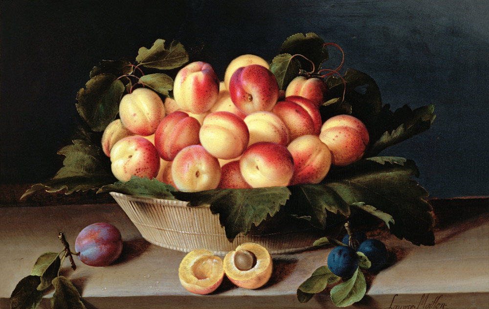 Basket of Apricots von Louise Moillon