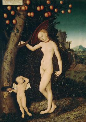 Venus und Amor als Honigdieb 1527