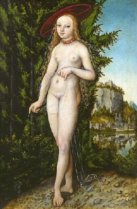 Venus in a landscape 1529