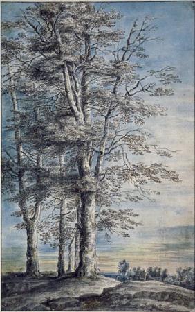 Landschaft mit grosser Baumgruppe 1650