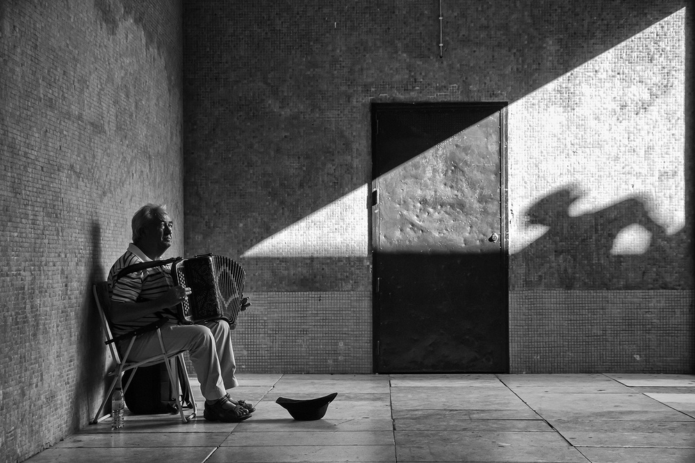 Der Schatten von Luis Sarmento