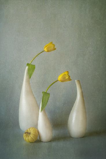 Gelbe Tulpe und Minikürbis