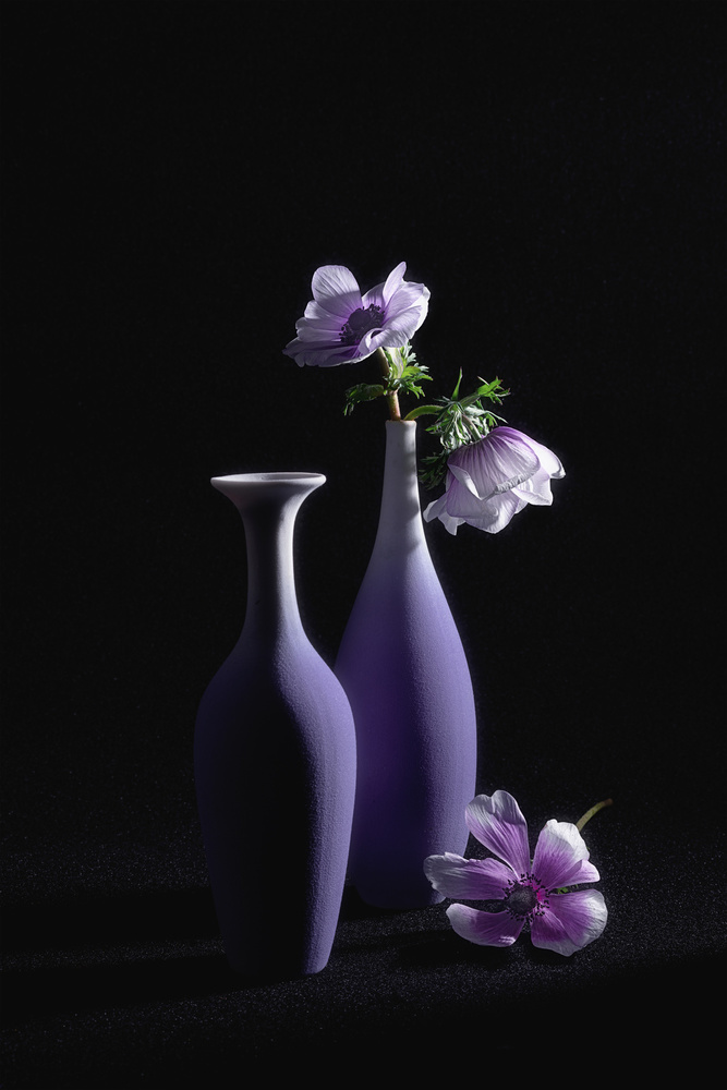 Hübsches violettes Thema von Lydia Jacobs