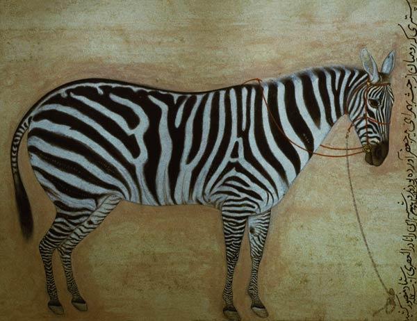 Zebra, from the "Minto Album", Mughal, 1621