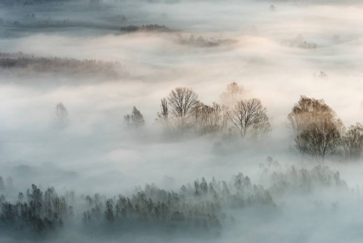 Winter fog von Marco Galimberti