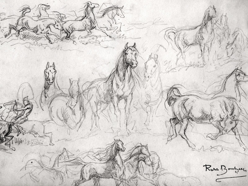 Study of Horses von Maria-Rosa Bonheur