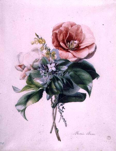 Camellia and Broom von Marie-Anne