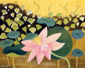 Lotus Flower 1984
