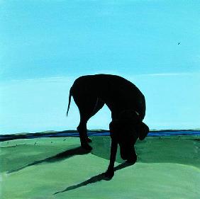 Joe''s Black Dog, 1996 (acrylic on canvas) 